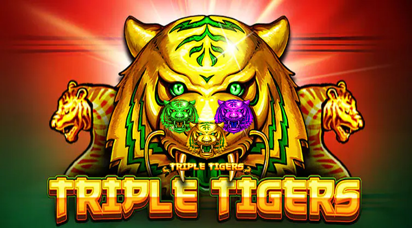 Game Triple Tigers Sebuah Klasik Modern di Dunia Slot