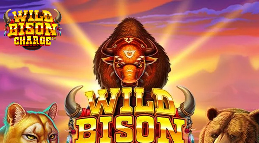 Game Wild Bison Charge